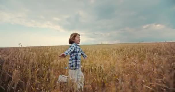 Uma Menina Sorrindo Feliz Está Correndo Campo Amarelo Raking Grama — Vídeo de Stock