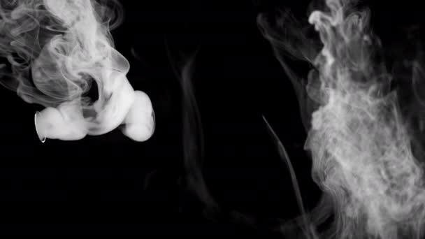 背景视频从汽车排气管中提取烟雾的视频 黑色背景上的白烟 车开了高质量的4K镜头 — 图库视频影像