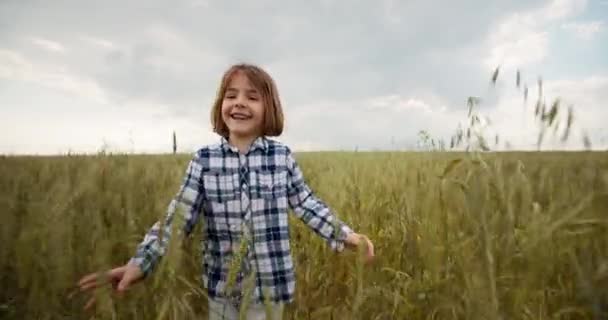 一个脸上挂着笑容的女孩正在绿地上奔跑 自由与儿童的梦想 生态与自然保护的概念 高质量的4K镜头 — 图库视频影像