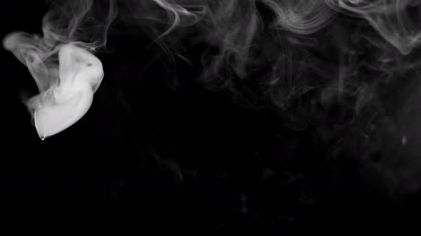 Háttérvideó Elvont Videó Egy Autó Kipufogócsövének Füstjéről Légkör Kipufogógázokkal Történő — Stock videók