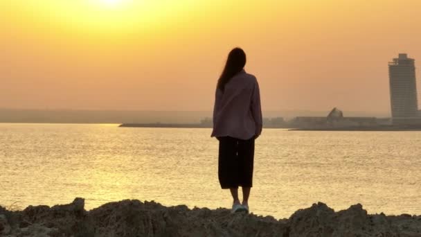 Luchtfoto Van Een Vrouwelijk Silhouet Aan Kust Bij Zonsondergang Een — Stockvideo