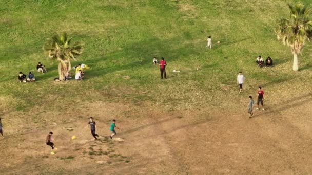 Αεροφωτογραφία Των Παιδιών Που Παίζουν Ποδόσφαιρο Μια Μπάλα Στο Γρασίδι — Αρχείο Βίντεο