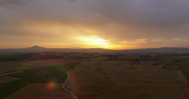 Αεροφωτογραφία Των Γεωργικών Αγρών Στο Ηλιοβασίλεμα Όμορφη Φύση Ηλιαχτίδες Υψηλής — Αρχείο Βίντεο