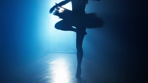 Sylwetka Baleriny Wirującej Podczas Wykonywania Ruchów Tanecznych Korytarzu Sztuka Tańca — Wideo stockowe