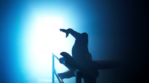 Een Professionele Ballerina Traint Buurt Van Balletbar Hal Silhouet Van — Stockvideo
