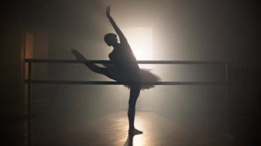 Bale barının yanında dans eden bir balerin silueti. Sıkı bir eğitim ve dans hayvanat bahçesinde bir dansçının çalışması. Bale ve koreografi sanatı. Yüksek kalite 4k görüntü