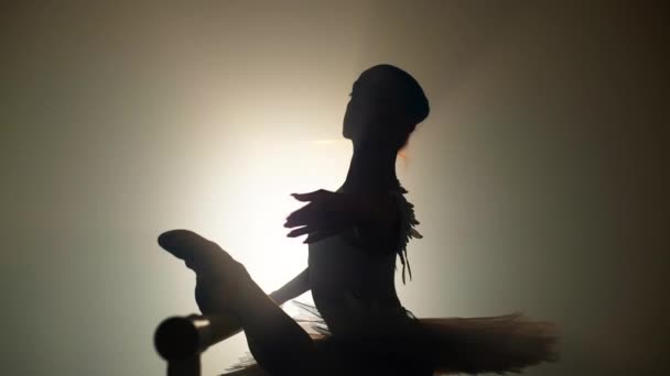 Красивый Силуэт Балерины Тренирующейся Возле Балетной Площадки Танцевальном Зале Искусство — стоковое видео