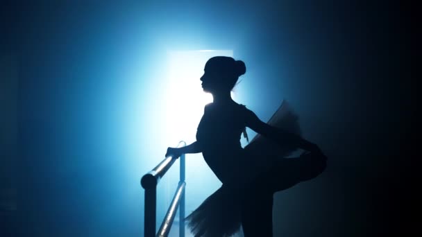 Bailarina Entrenando Sala Cerca Barra Ballet Chica Realiza Movimientos Baile — Vídeo de stock