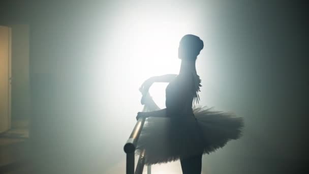 Жінка Баллеріна Тренується Біля Балетного Барру Танцівниці Виконують Танцювальні Рухи — стокове відео