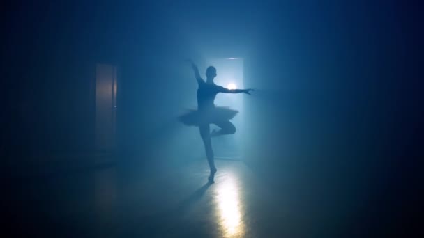Arte Coreografía Ballet Una Bailarina Baila Salón Baile Baile Pasos — Vídeos de Stock