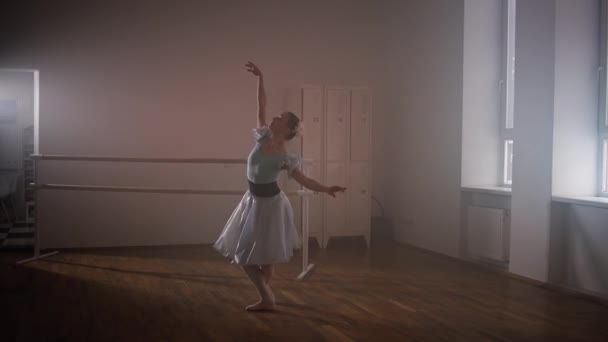 Art Chorégraphie Ballet Danseur Effectue Des Pas Danse Travail Acharné — Video