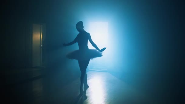 Slow Motion Video Ballerina Gently Dancing Ballet Training Hall Choreographer — Stock Video