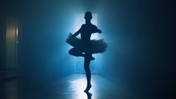 Slow Motion Video Ballerina Dancing Ballet Steps Girl Enjoys Dancing — Stock Video