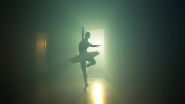 Χαρωπές Κινήσεις Και Τρυφερότητα Των Μπαλαρίνων Χορεύουν Στην Αίθουσα Χορού — Αρχείο Βίντεο