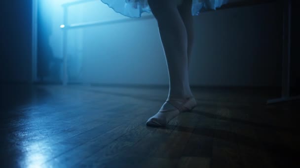 Art Ballet Ballerina Dances Ballroom Preparing Performance Close Slow Motion — Stock Video