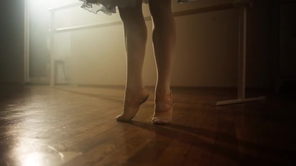 Elevating Artistry Ballerinas Journey Training Technique Mastering Ballet Passion Discipline — Video Stock