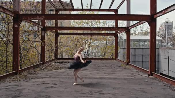 Whispering Poise Ballet Streets Capturing Delicacy Ballerinas Urban Landscapes High — Stock Video