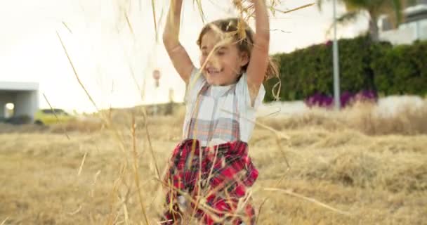 Boldogság Lényegének Megragadása Tapasztalja Meg Boldog Gyermek Hamisítatlan Örömét Gondtalan — Stock videók