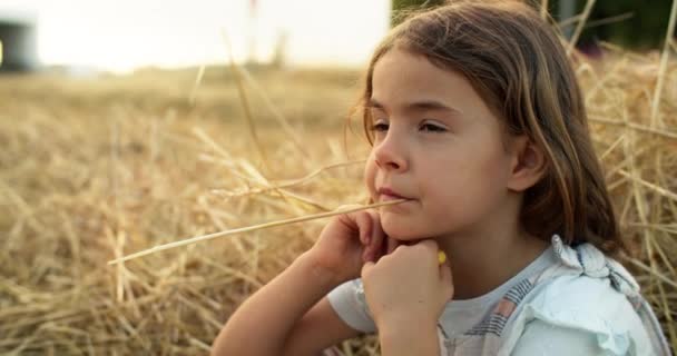 Portrait Une Fille Assise Pensivement Sur Champ Dans Foin Enfant — Video