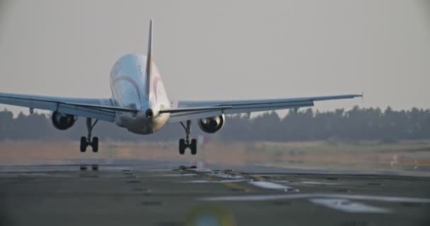 Międzynarodowe Lotnisko Przylatuje Duży Samolot Pasażerski Miejski Krajobraz Samolotu Lądującego — Wideo stockowe