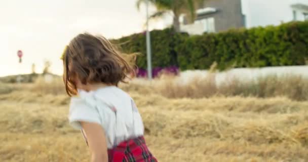 纯真的田野 在宁静的农场里 在纯真的幸福和纯洁的自由中启示一个女孩珍惜童年 在阳光之吻的拥抱中嬉笑和玩耍 高质量的4K镜头 — 图库视频影像