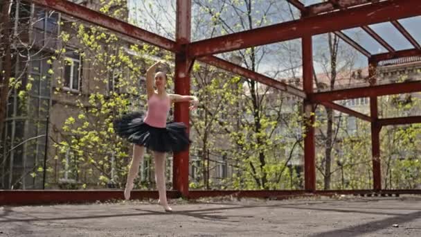 Urban Ballet Journey Embracing Rhythm City Streets Ballerinas Graceful Dance — Videoclip de stoc