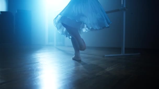 Eleganckie Moves Ballet Training Performance Autorstwa Delikatnej Baleriny Sali Tańca — Wideo stockowe