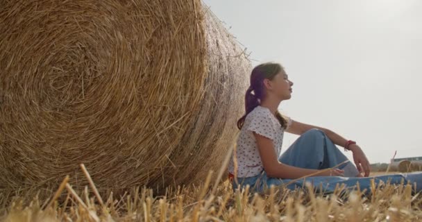 Dreamy Bliss Girls Serene Life Field Surrounded Hay Happiness Farm — стокове відео