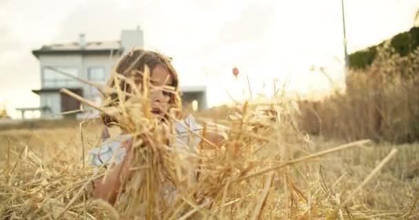 Joy Childhood Childs Delight Playing Hay Farm Embracing Farm Lifestyle — Vídeo de Stock
