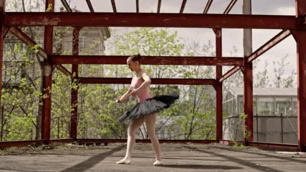 City Rhapsody Graceful Ballerinas Elegant Dans Stadsbilden Klassisk Balett Högkvalitativ — Stockvideo