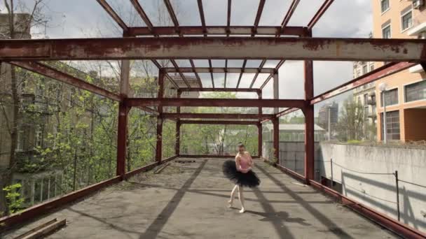 Paysage Urbain Élégance Ballerines Danse Enchanteresse Milieu Urbain Ballets Classiques — Video