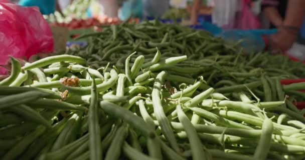 Primer Plano Vainas Judías Verdes Mostrador Vendedor Mercado Verduras Orgánicas — Vídeos de Stock