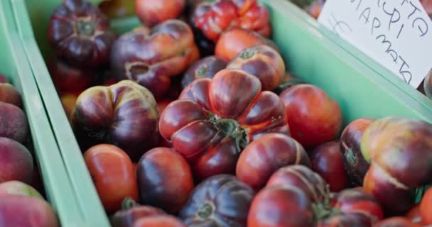 Primer Plano Los Tomates Caja Presentación Del Mercado Vegetales Fersmer — Vídeos de Stock