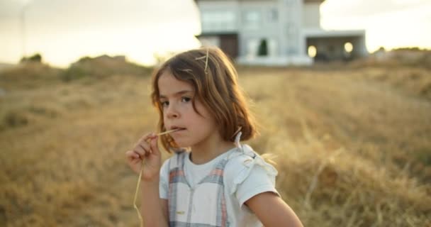 Retrato Uma Linda Rapariga Caucasiana Num Campo Com Feno Infância — Vídeo de Stock