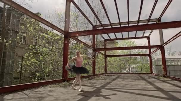 Urban Symphony Ballerina Mesmerizing Performance City Streets Klassieke Dance Delight — Stockvideo