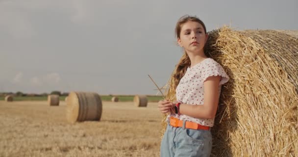 Farm Life Fantasia Captivating Moments Girl Sitting Field Hay Nature — стоковое видео