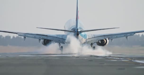 Nieba Pas Startowy Świadek Zapierającego Dech Piersiach Lądowania Samolotu Wysokiej — Wideo stockowe