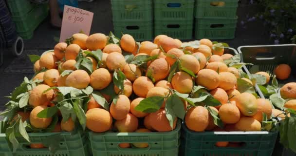 Primer Plano Mandarinas Frescas Bellamente Dispuestas Mostrador Por Vendedor Bazar — Vídeos de Stock