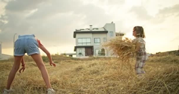 Children Scatter Toss Hay Field Village Concept Happy Childhood Village — Stock Video