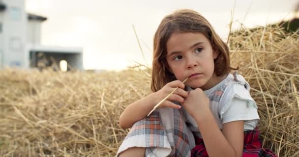 Πορτραίτο Ενός Καυκάσου Παιδιού Μιας Κοπέλας Που Κάθεται Στο Σανό — Αρχείο Βίντεο