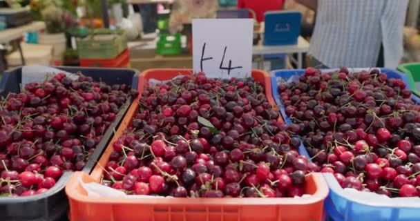 Gros Plan Cerises Sur Présentoir Vendeurs Sur Marché Fruits Frais — Video