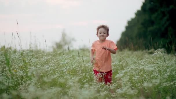 Biały Chłopiec Biegnie Polu Zachodzie Słońca Koncepcja Dziecięcych Marzeń Uśmiechów — Wideo stockowe