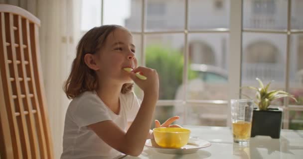 Радостный Пост Очаровательная Сцена Европейского Ребенка Наслаждающегося Вкусным Ужином Уютном — стоковое видео