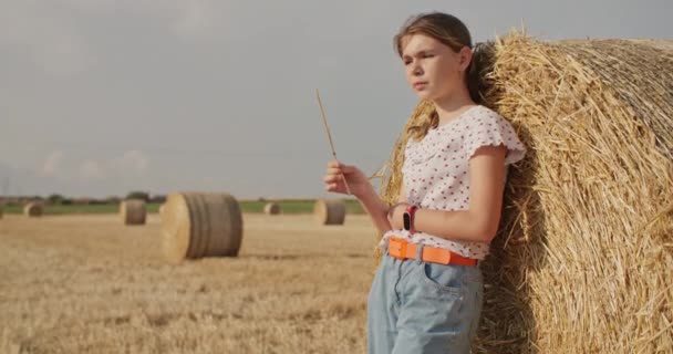 Harvesting Style Witness Grace Elegance Teen Model Hay Bales Images — Video