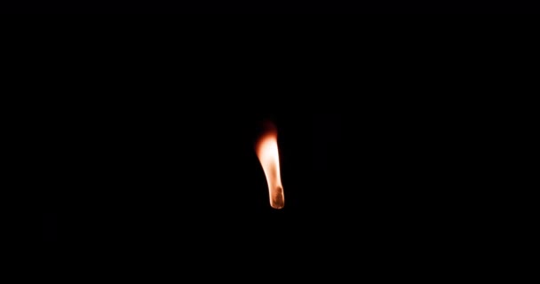 Αργή Κίνηση Βίντεο Πυρσό Φλόγες Φωτιάς Σκοτεινό Δωμάτιο Υψηλής Ποιότητας — Αρχείο Βίντεο