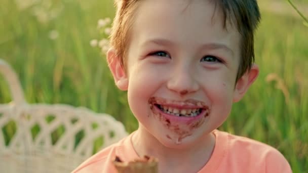 公園でアイスクリームを食べている白人の少年のクローズアップ ピクニックでお菓子を食べるクリーム顔を持つ幸せな子供 笑顔と幸せ 高品質4K映像 — ストック動画