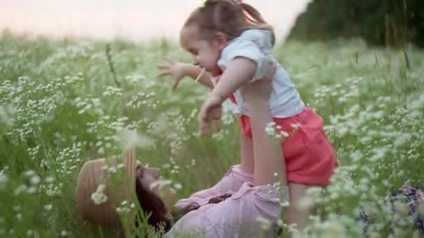 Funny Video Mother Daughter Hugging Fooling Field Grass Concept Childrens — Stock Video