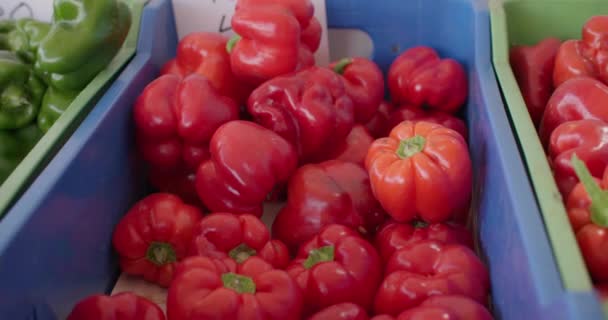 Primer Plano Pimientos Una Caja Una Pantalla Del Mercado Vegetales — Vídeo de stock