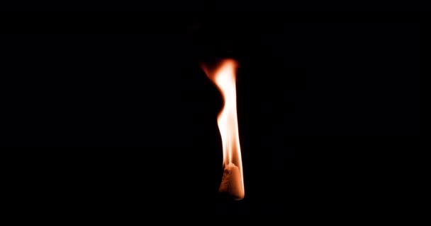 背景ビデオスローモーション燃焼トーチ火災 黒地に燃える炎と炎の美しさ 高品質4K映像 — ストック動画