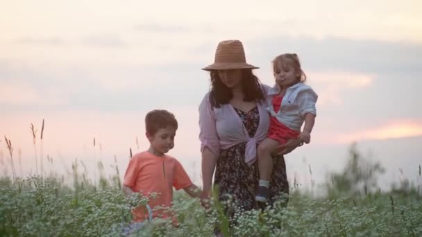 家族の至福の道を照らす 輝くヨーロッパの母 息子放射小児の概念を象徴する 太陽の光の場のセレニティの中で静かな散歩を共有する — ストック動画